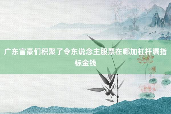 广东富豪们积聚了令东说念主股票在哪加杠杆瞩指标金钱