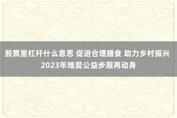 股票里杠杆什么意思 促进合理膳食 助力乡村振兴 2023年维爱公益步履再动身