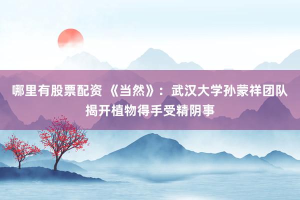 哪里有股票配资 《当然》：武汉大学孙蒙祥团队揭开植物得手受精阴事