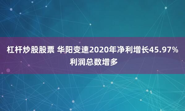 杠杆炒股股票 华阳变速2020年净利增长45.97% 利润总数增多